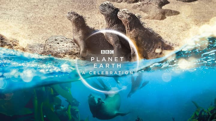 Sir David Attenborough And Dave Team Up For Planet Earth Special
