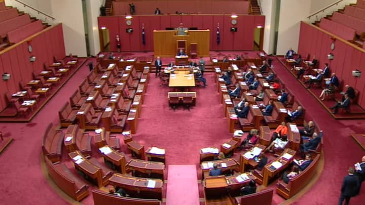 Pauline Hanson's 'All Lives Matter' Motion Gets Absolutely Savaged In Senate