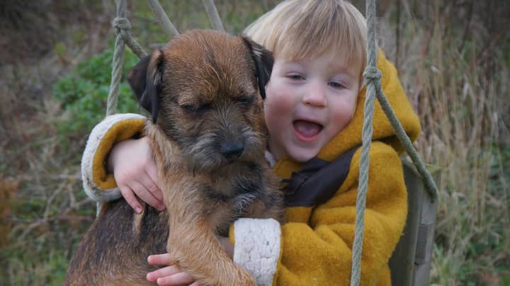 Three-Year-Old Reunited With Stolen Dog After £10,000 Reward Was Offered