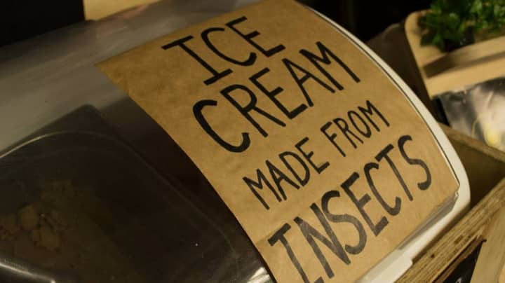 Company Creates Dairy-Free Ice Cream Made From Maggots 