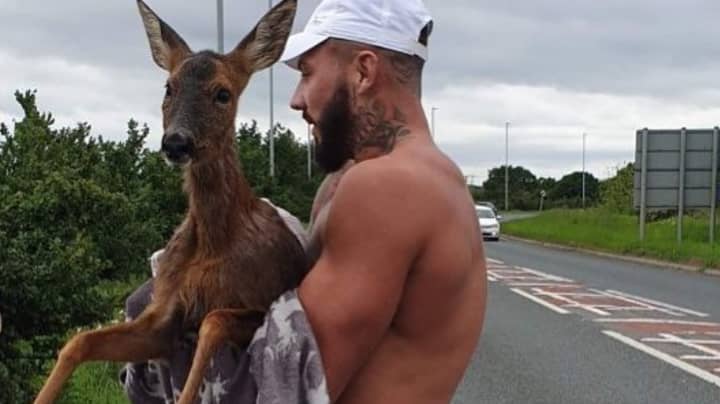 LAD Jumps Into Freezing Cold Canal In His Boxers To Save Drowning Deer