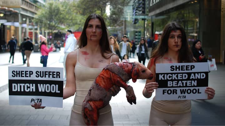 Vegan Activists Hold Bloodied 'Shorn Sheep' During Protest Against Wool